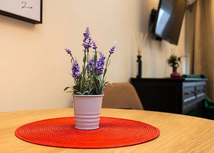 Apartment Mignon