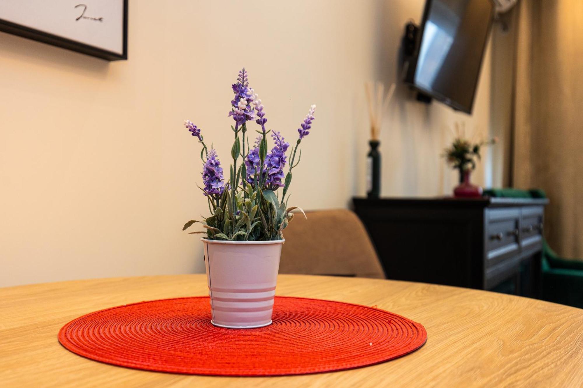 Apartman Mignon Belgrade